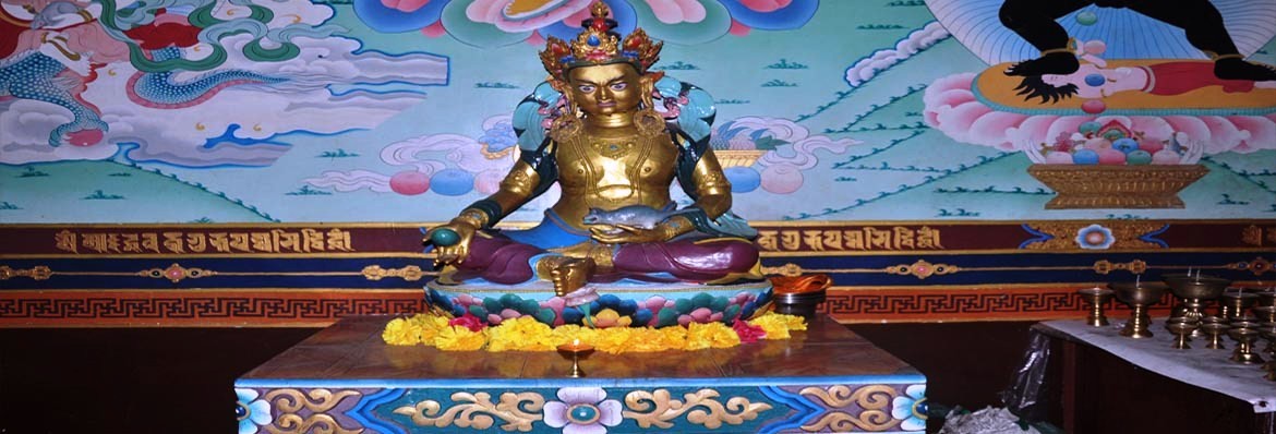 धन सम्पतिको मालिक जमभल​